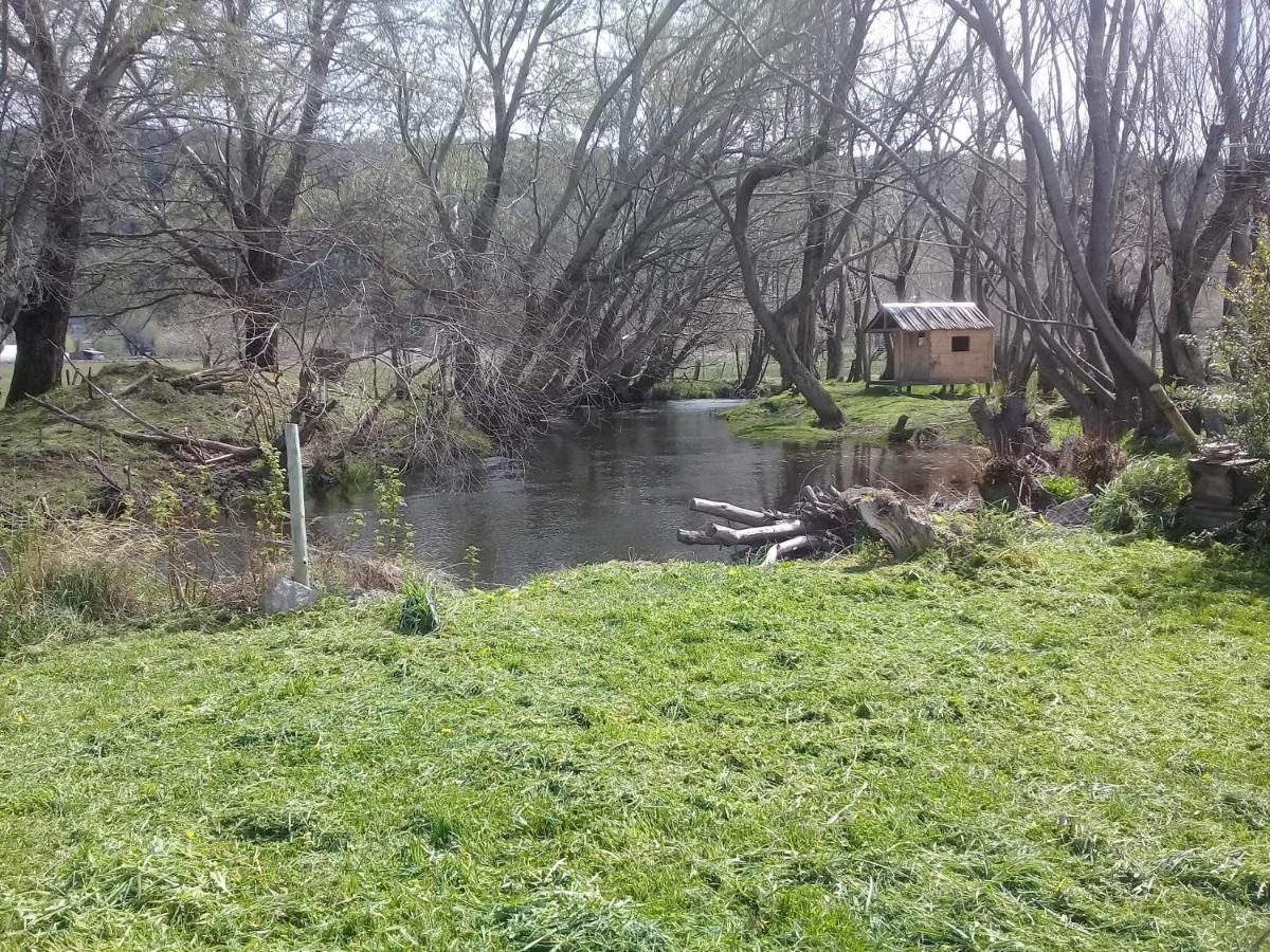 Cabana Con Costa De Arroyo San Martín de los Andes Exteriör bild